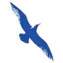 Cape Air