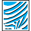 Air Botswana