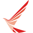 Ruili Airlines