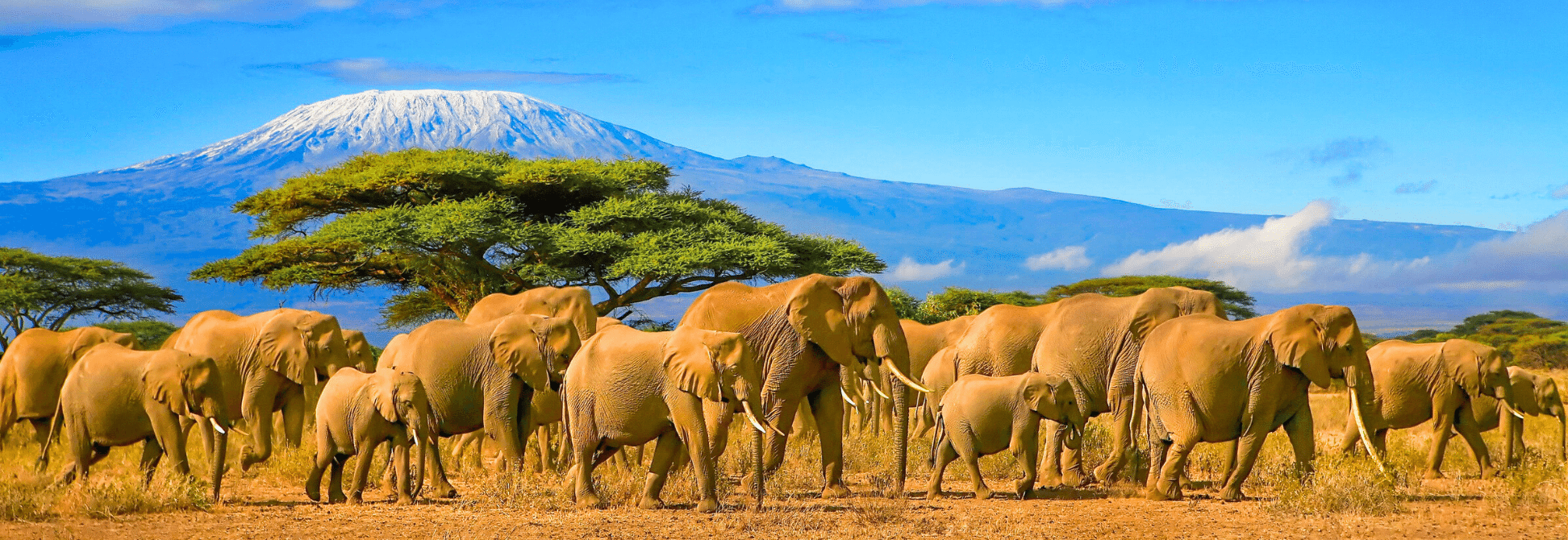 Kenia